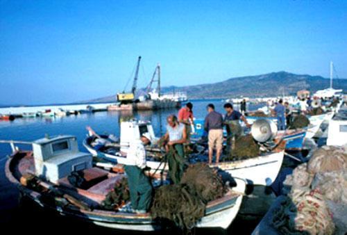 Lesvos Skala Kaloni