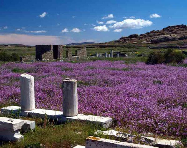 Delos Island At Spring Time (A Picture Taken By Henry Wu)