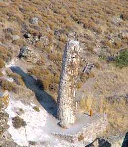 Lesvos Petrified Forest Standing Tree Trunk